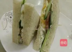 Illustration of how to make egg, tomato, cucumber and whole wheat sandwich 8