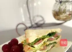 Sandwich Recipe Illustration 5