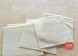 Guanmao Wonton Tutorial Illustration 2