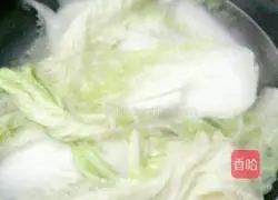 Jade Cabbage Dumplings Recipe Illustration 6