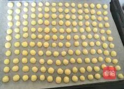 Illustration of homemade steamed buns 10