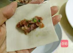 Illustration of how to make wontons 6