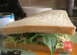 Healthy breakfast avocado sandwich recipe 4