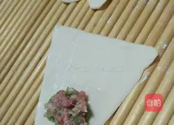 Illustration of how to make wontons 3