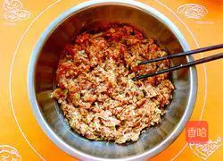 Chinese cabbage (bai choi) Cai) Illustration of making dumplings 10