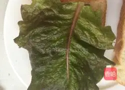 Sandwich Illustration of how to do it 7