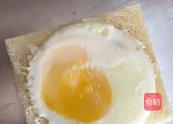 Illustration of how to make ham sandwich 6