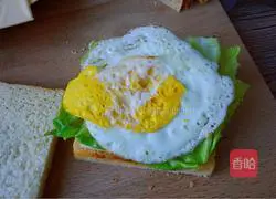 Illustration of making salami sausage sandwich 7