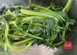 Illustration of Northeastern Celery and Pork Dumplings 1