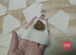 Pork Wonton Recipe Illustration 8