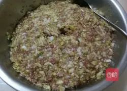 Illustration of how to make beef and cabbage dumplings 3