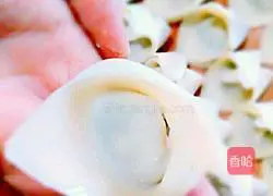 Illustration of how to make fresh meat wontons 4