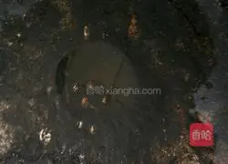 Tomato and egg braised pancakes Practice illustration 6