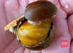 Illustration of how to make chestnuts in electric baking pan 4