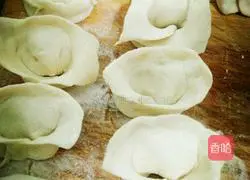 Chicken Wonton Recipe Illustration 8