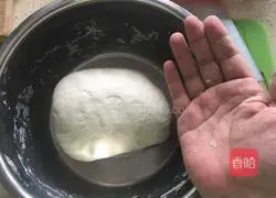 Illustration of how to make cabbage and pork dumplings 2