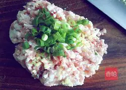 Illustration of how to make wonton stuffing with onion and pork 3