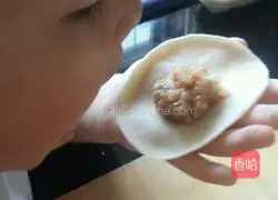 Illustration of how to make mutton dumplings 8