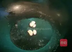 Bitter melon fried rice recipe 4