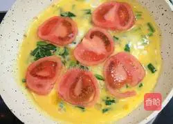 Spinach and tomato omelette recipe 7