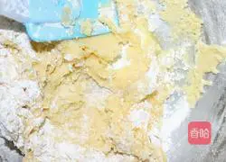 Walnut Shortcake Recipe Illustration 5