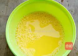 Lazy coriander pancake recipe 5