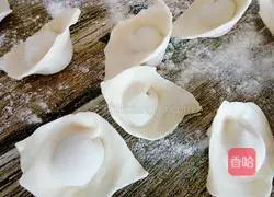 Illustration of how to make pork and green onion wontons 15