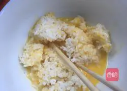 Assorted Fried Rice Recipe Illustration 3