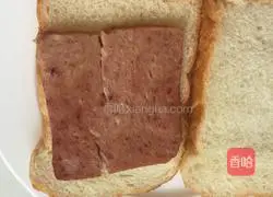 Sandwich Illustration of how to do it 4