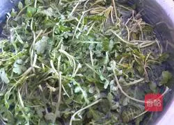 Illustration of how to make shepherd's purse and pork wontons 1