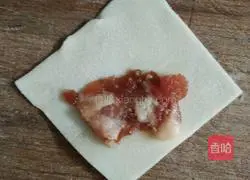 Illustration of how to make wontons 2