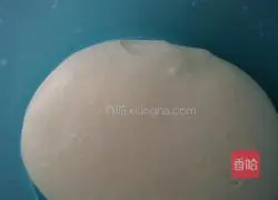 Xiangting Sanxian Dumplings Recipe Illustration 1