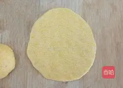 Orange cornmeal pancake recipe 9