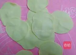 Illustration of how to make pork and onion dumplings 14