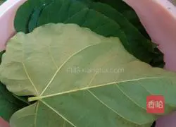 Illustration of how to make dumplings 1