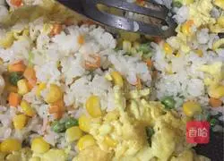 Assorted Egg Fried Rice Recipe Illustration 9