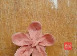 Fancy dumplings Illustration of practice 14