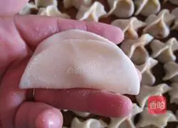 Illustration of how to make dumplings 5