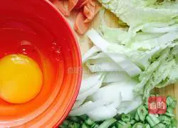 Vegetarian Egg Fried Noodles Recipe Illustration 1