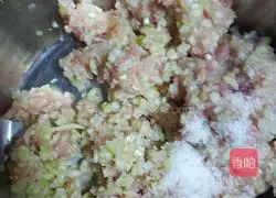 Zucchini and Pork Wonton Recipe Illustration 4