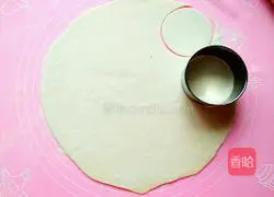 Carrot and Fungus Thin Illustration of how to make meat dumplings 13