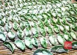 Illustration of how to make Jasper dumplings 7