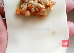 Chicken and Carrot Wonton Recipe Illustration 6