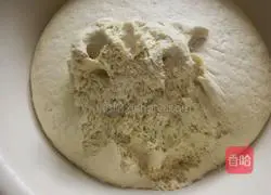 Cornmeal Whole Wheat Steamed Bun Recipe Illustration 7