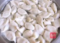 Illustration of Beef, Fungus and Carrot Dumplings 18