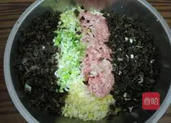 Illustration of how to make pork, cabbage and fungus dumplings 1