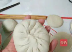 Pork and pickled cabbage pie recipe 11