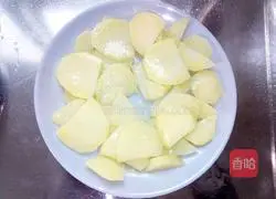 Illustration of home-style potato pancakes 3