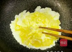 Assorted Fried Rice Recipe Illustration 3