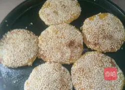 Pumpkin pie recipe 8